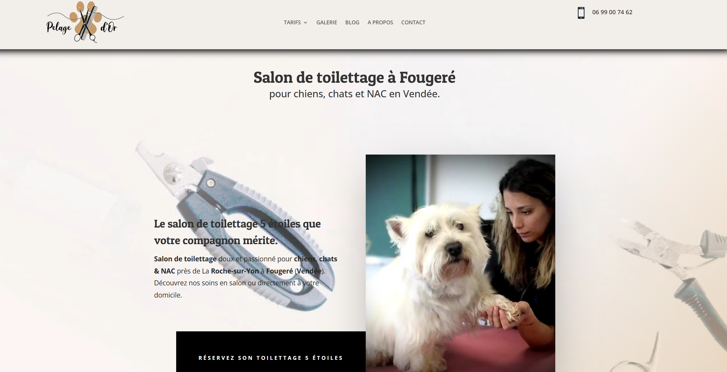 Exemple de site Internet créé par David-V