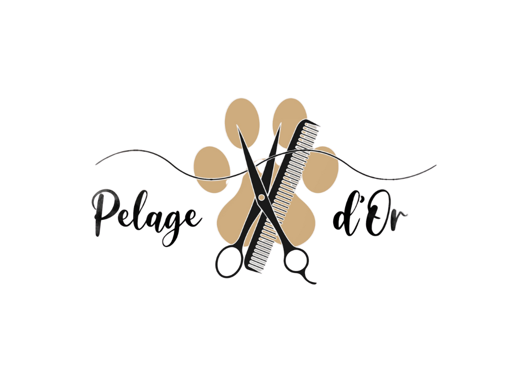 Logo de l'entreprise