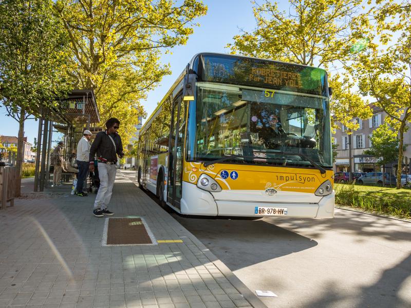 Bus