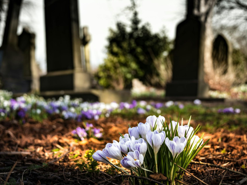 Cimetière