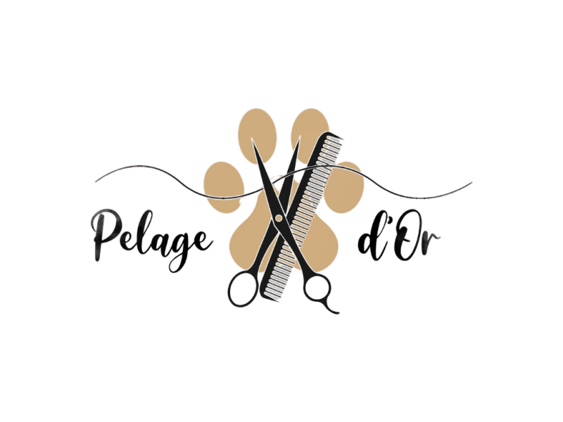 Pelage d'or | Toilettage chiens, chats & NAC