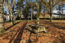 Table de pique-nique en automne