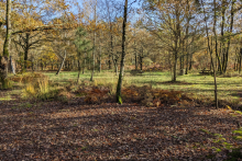 Forêt de La Chaize