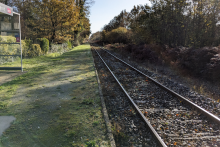Rails du train