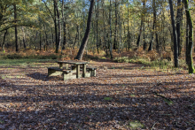 Table de pique-nique à l'entrée de la forêt