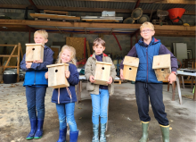 Fabrication de nichoirs