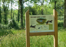 Panneau de la mare pédagogique