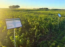 Les activités de Cavac