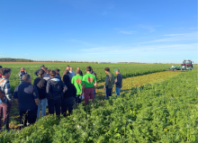 Les activités de Cavac