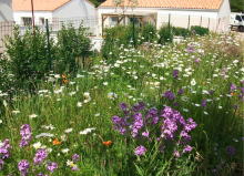 Réalisation de DG Paysage Création